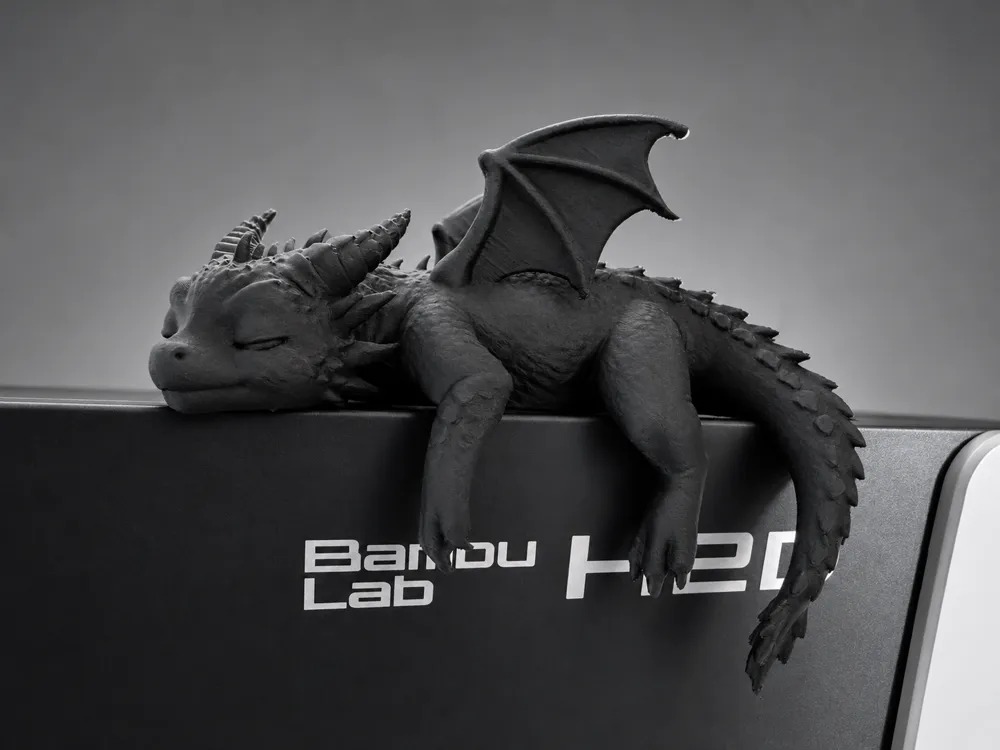 اژدهای خواب‌آلود لبه‌ای | Sleepy Dragon